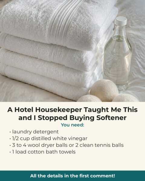 A Hotel Housekeeper Taught Me This and I Stopped Buying Softener